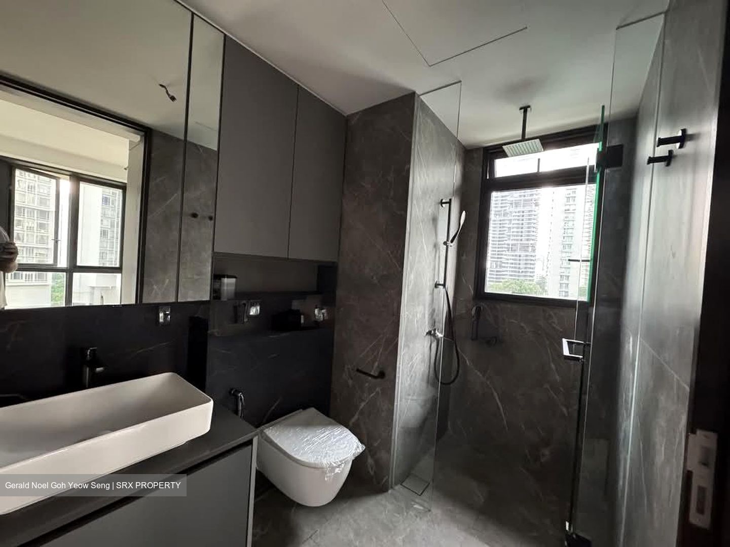 Irwell Hill Residences (D9), Apartment #561611411
